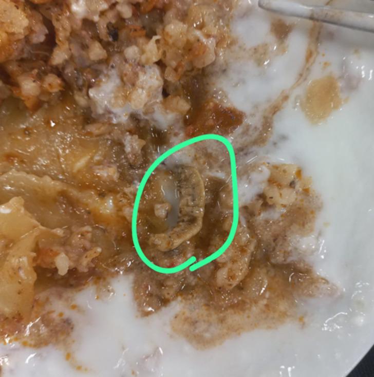 Denizli'deki KYK yurdu ile ilgili skandal iddia! Yemeklerden çıkanlar mide bulandırdı! Öğrenciler tek tek paylaştı... G2