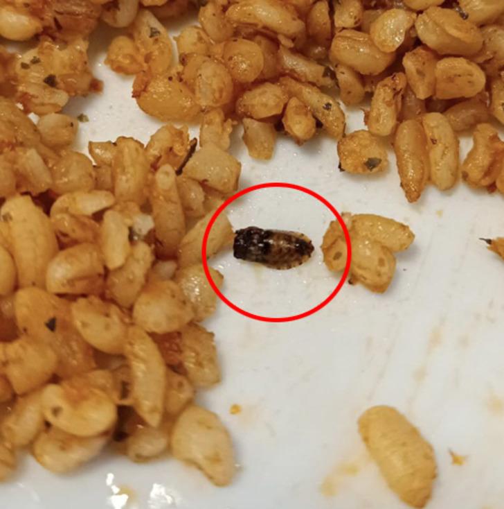 Denizli'deki KYK yurdu ile ilgili skandal iddia! Yemeklerden çıkanlar mide bulandırdı! Öğrenciler tek tek paylaştı... G3