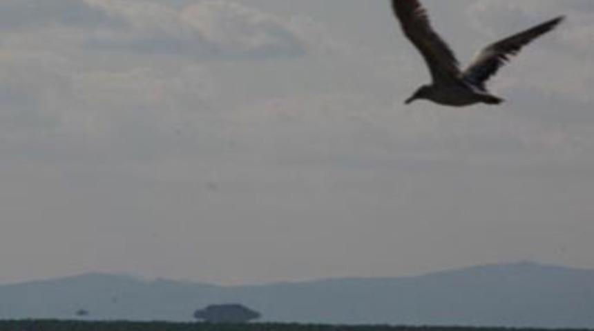 Van G&ouml;l&uuml;'nde UFO heyecanı