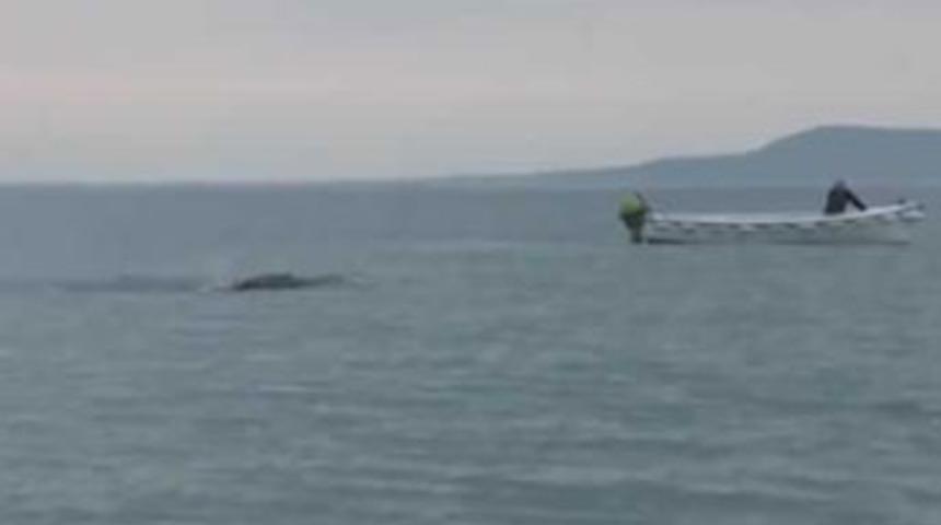 Bu g&ouml;r&uuml;nt&uuml; kafaları karıştırdı!