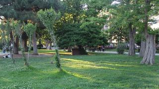 Bahar ayları vakaları artırıyor! Şanslı bir grup var 'Sakın çıkarmayın' dedi ve ekledi... 'Tetikte olmamız gerek' 