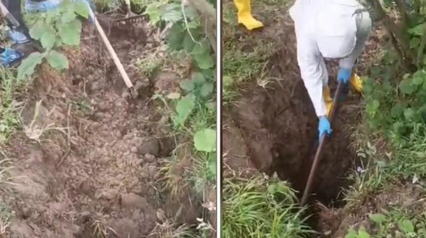 Kayıp olarak aranıyordu, fındık bahçesinde cesedi bulundu! Dikkat çeken 'kumar borcu' detayı