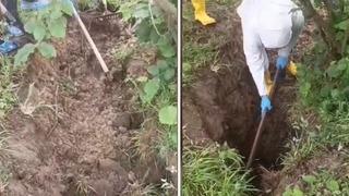 Kayıp olarak aranıyordu, fındık bahçesinde cesedi bulundu! Dikkat çeken 'kumar borcu' detayı