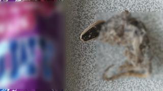 Sosyal medyada gündem oldu! Üç harfli marketten alınan kavrulmuş çekirdek paketinden fare çıktı: 'Çitlemeye çalışırdım ben bunu'