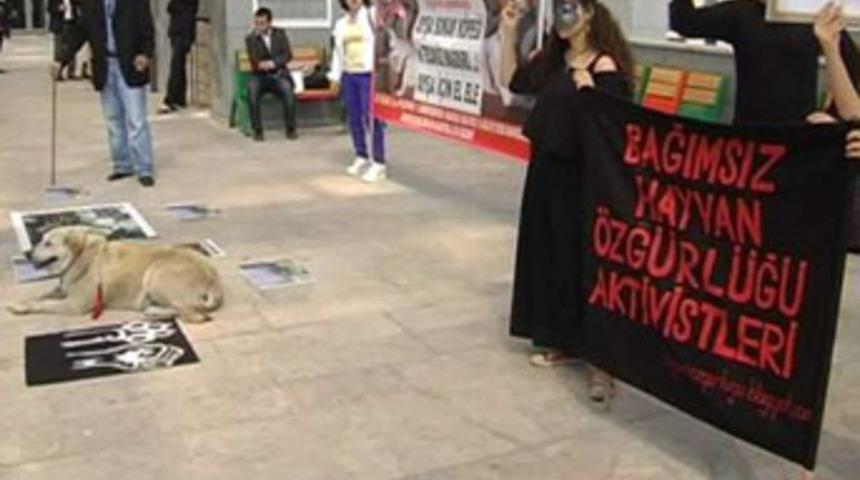 O davada karar &ccedil;ıktı ve...