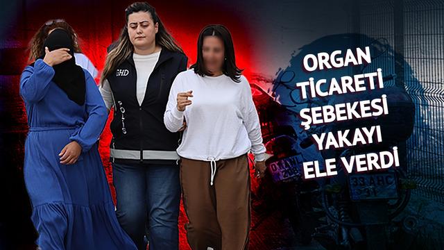 İsrail-Türkiye-Suriye üçgeninde skandal organ ticareti deşifre oldu