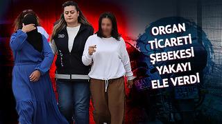 İsrail'den Türkiye'ye gelip Suriyelilerin böbreklerini sattılar! Organ ticareti şebekesinin organizatörü bakın kim çıktı