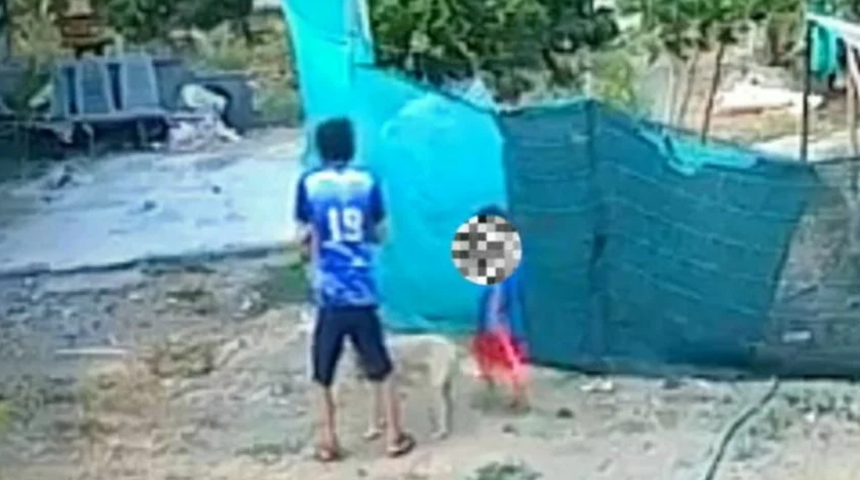 Yeğenini ısıran köpeğe sinirlendi! Cezasını kendisi vermek istedi... Cani adam köpeği önce öldürdü ardından cansız bedeniyle yemek yapıp yedi