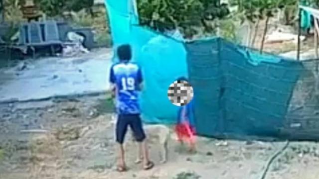 Yeğenini ısıran köpeğe sinirlendi! Cezasını kendisi vermek istedi... Cani adam köpeği önce öldürdü ardından cansız bedeniyle yemek yapıp yedi