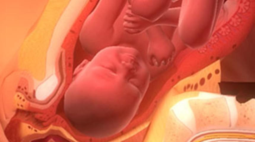 Doğuma 3 Boyutlu Bakış