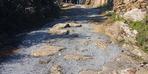 Antik yola beton dökülmesi gündem olmuştu! Bakanlık devreye girdi