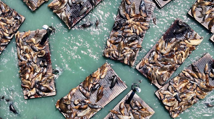 Son 15 yılın en yoğun ziyareti! O şehir adeta istilaya uğradı