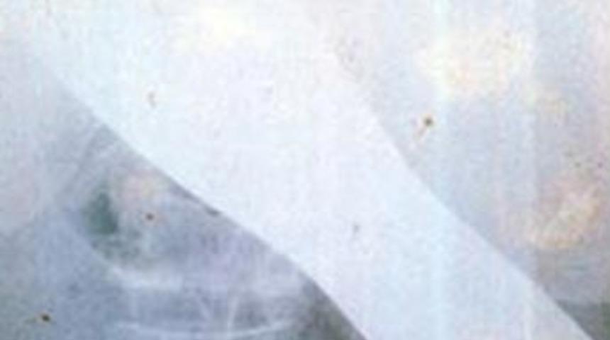 28 santimlik 'mala' karnında unutuldu