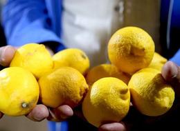 Yasaklı madde tespit edilen limonlarla ilgili yeni gelişme! Harekete geçildi, soruşturma başladı