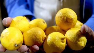 Limonda yasaklı madde tespit edildi!