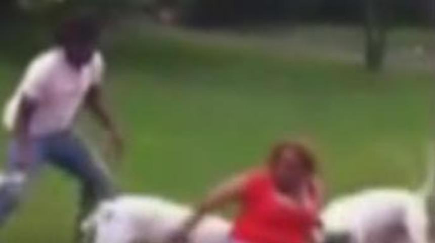 2 pitbull kadına b&ouml;yle saldırdı