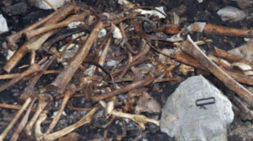 Tunceli'de bir mağara dolusu kemik!