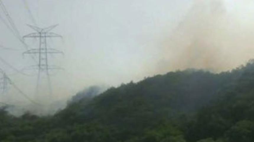 İstanbul'un ciğerleri yandı