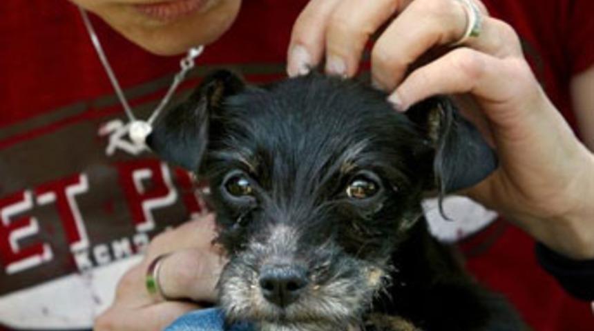 Sigara yiyerek hayatta kaldı