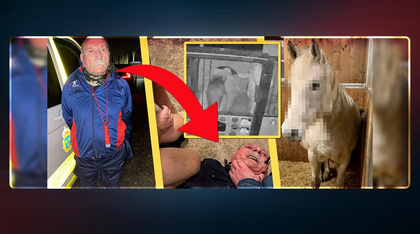 İsveç bu olayı konuşuyor! Terör örgütü PKK'nın sözde Avrupa sorumlusu Senanik Öner ata tecavüz etti, suçüstü yakalandı