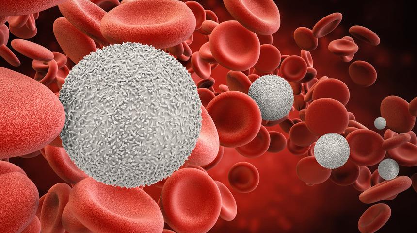 Lökosit nedir? Lökosit yüksekliği ve düşüklüğü ne anlama gelir?