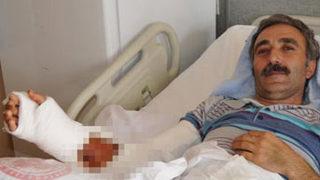 Fark etmediği kene kolundan edecekti