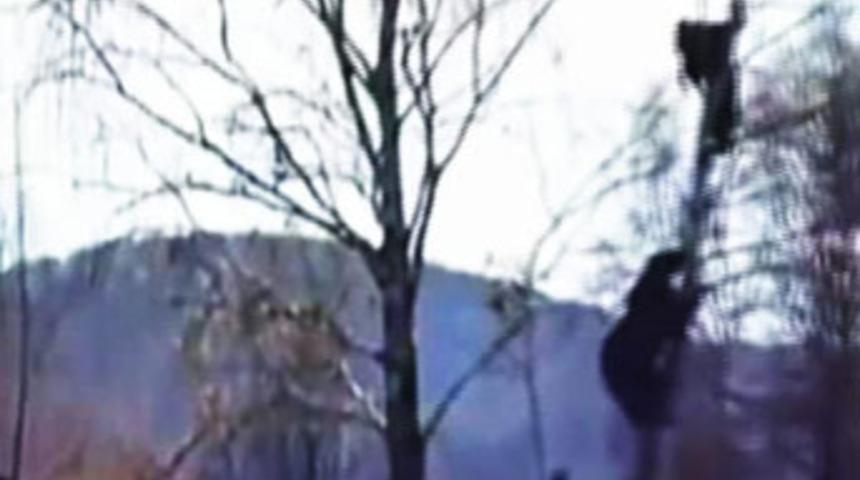 Ayıdan kurtulmak i&ccedil;in ağaca &ccedil;ıktı ama...