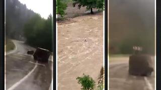 Geçen yıl o bölgede 4 öğretmen ölmüştü... Yola yine kaya düştü