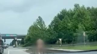 Kocaeli'de ilginç olay! Kimseye aldırmadan çırılçıplak dolaştı, gözaltına alındı