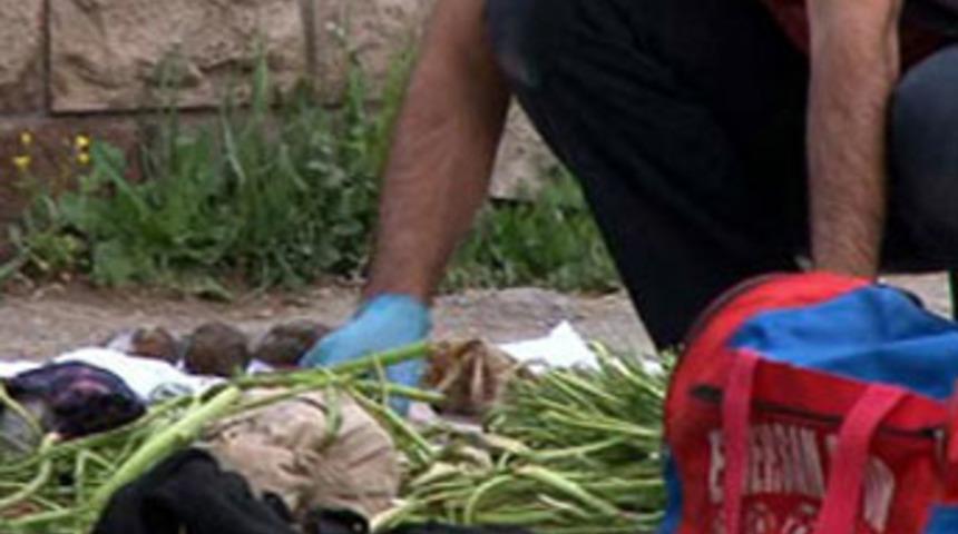 Otomobilden &ccedil;ıkanlara inanamayacaksınız!