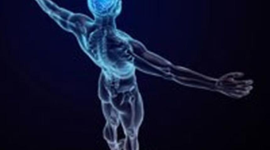 GATA'da 'vücut yedek parçası' üretildi