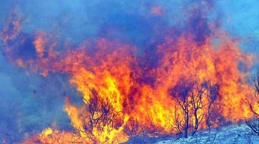 Yangın yol kapattırdı