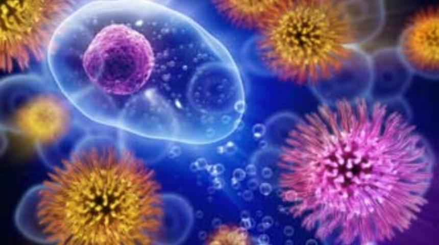 Bu hücre keşfi Parkinson ve Diyabet hastalıklarına çözüm olabilir