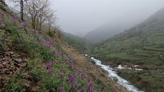 O ile mayıs ayında kar sürprizi! Vatandaşlar şaşırdı