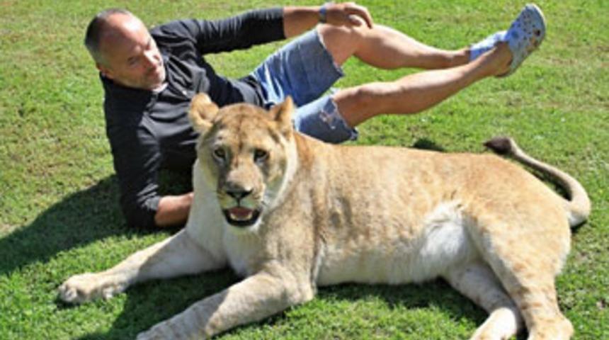 Aslanlarla beraber yaşıyorlar