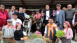 Böylesi daha önce görülmedi! Eşeklere nikah kıyıp düğün yaptılar, traktöre bindirip balayına gönderdiler