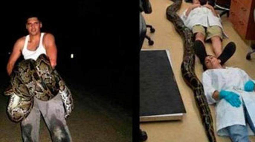 Dev pitondan kıl payı kurtuldu