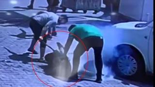 Önce tabancayla vurdular, sonra sopayla dövdüler! Dehşet anları kamerada