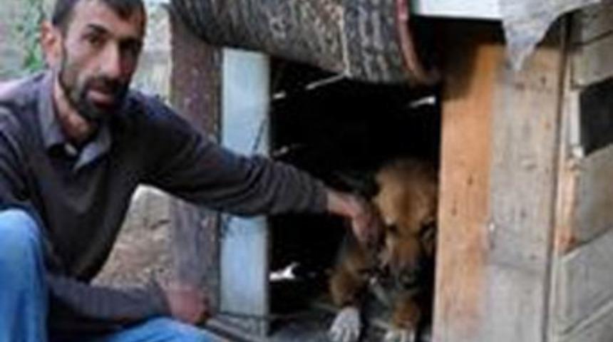 K&ouml;peğe 1 yıl kul&uuml;bede kalma cezası