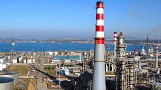 Türkiye'nin devine baskın!