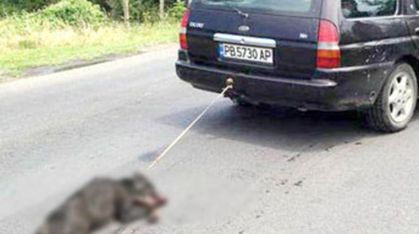 Bunu yapan insan olamaz!