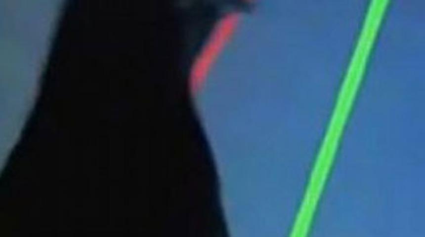 'Kuş beyinli' diyoruz ama...