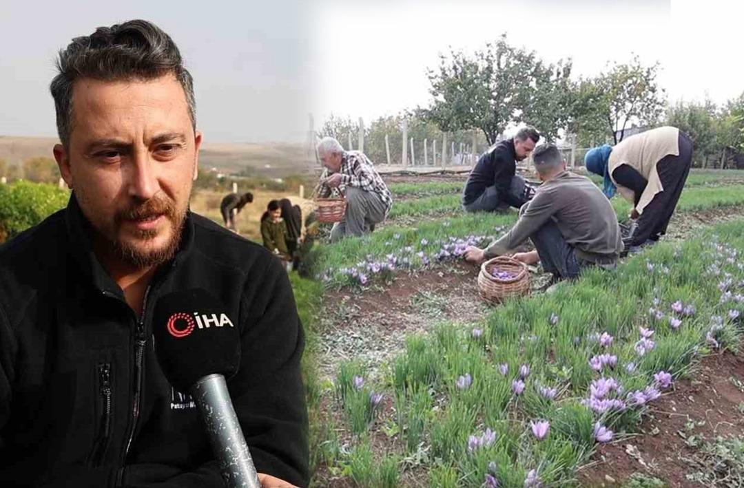 Bah&ccedil;esine d&uuml;nyanın en pahalı baharatını ekti,  kilosunu 200 bin liradan satıyor!