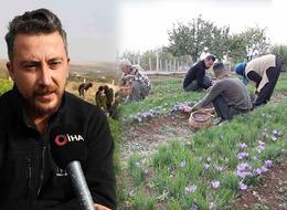 Bahçesine dünyanın en pahalı baharatını ekti,  kilosunu 200 bin liradan satıyor!