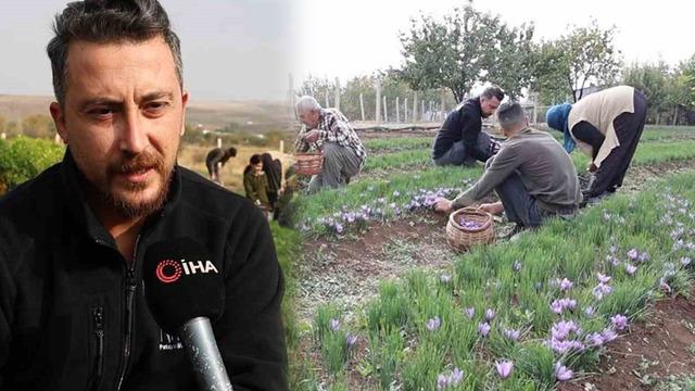 Bahçesine dünyanın en pahalı baharatını ekti,  kilosunu 200 bin liradan satıyor!