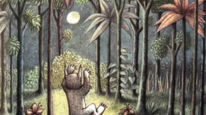 Maurice Sendak Doodle Oldu Maurice Sendak