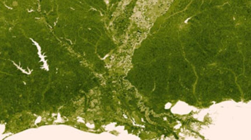 D&uuml;nya&rsquo;nın &lsquo;yeşillik haritası&rsquo;