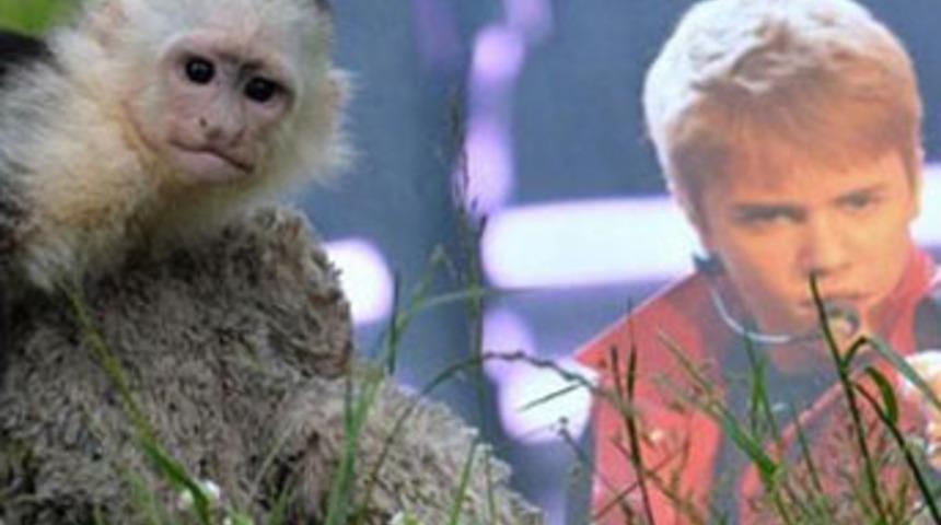 Justin Bieber'in maymunu yeni yuvasında