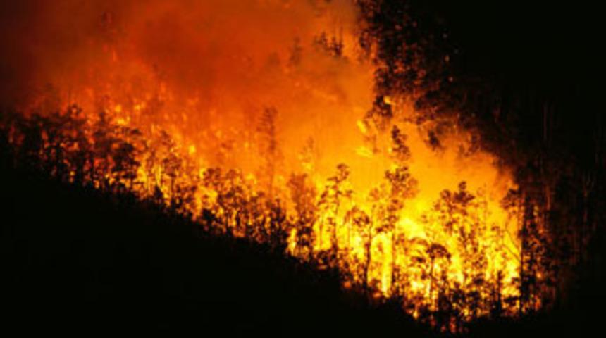 19 itfaiyeci yangın kurbanı oldu