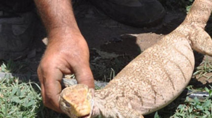 İlk defa karşılaşınca ne yapacağını şaşırdı